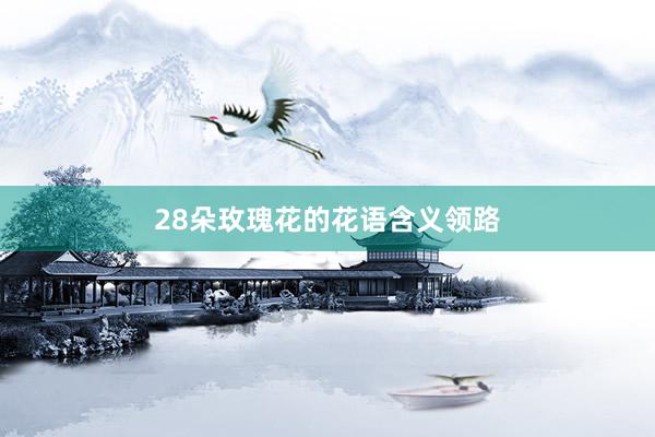 28朵玫瑰花的花语含义领路